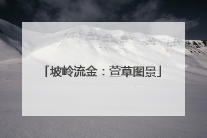 坡岭流金：萱草图景
