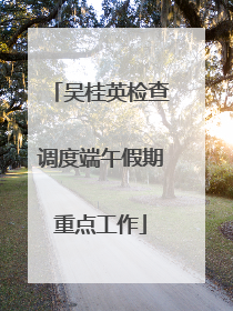 吴桂英检查调度端午假期重点工作