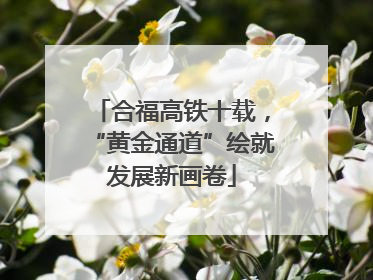 合福高铁十载，“黄金通道”绘就发展新画卷