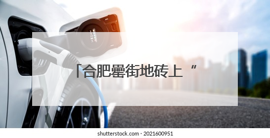合肥罍街地砖上“惊现”多种海洋生物化石 专家：具有一定观赏价值