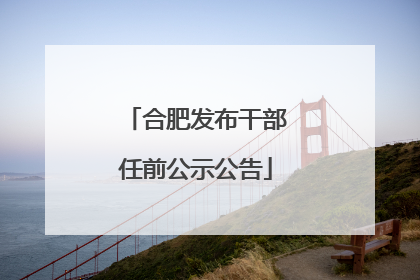 合肥发布干部任前公示公告