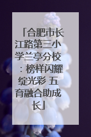 合肥市长江路第三小学兰亭分校：榜样闪耀绽光彩 五育融合助成长