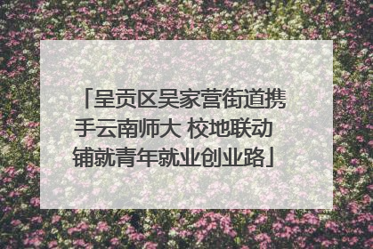 呈贡区吴家营街道携手云南师大 校地联动铺就青年就业创业路