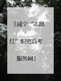 咸宁“志愿红”织密高考服务网