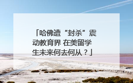 哈佛遭“封杀”震动教育界 在美留学生未来何去何从？