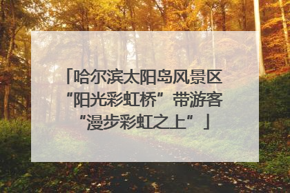 哈尔滨太阳岛风景区“阳光彩虹桥”带游客“漫步彩虹之上”