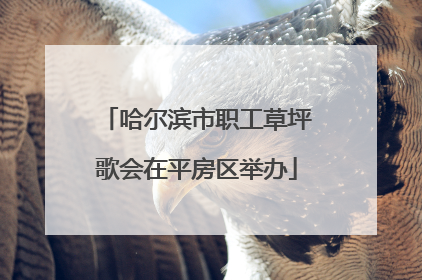 哈尔滨市职工草坪歌会在平房区举办