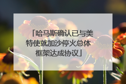 哈马斯确认已与美特使就加沙停火总体框架达成协议