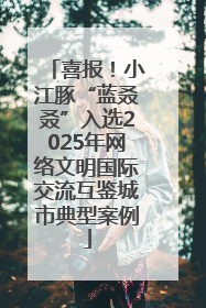 喜报！小江豚“蓝叒叒”入选2025年网络文明国际交流互鉴城市典型案例
