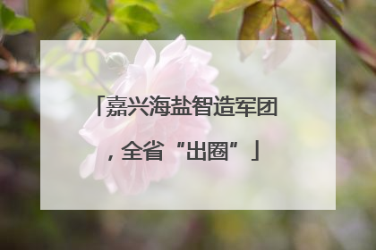 嘉兴海盐智造军团，全省“出圈”