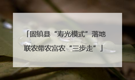 固镇县“寿光模式”落地 联农带农富农“三步走”