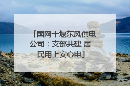 国网十堰东风供电公司：支部共建 居民用上安心电