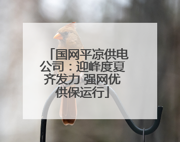 国网平凉供电公司：迎峰度夏齐发力 强网优供保运行
