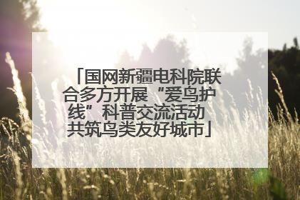 国网新疆电科院联合多方开展“爱鸟护线”科普交流活动 共筑鸟类友好城市