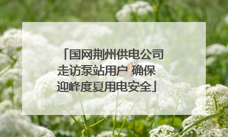 国网荆州供电公司走访泵站用户 确保迎峰度夏用电安全