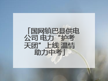 国网镇巴县供电公司 电力“护考天团”上线 温情助力中考