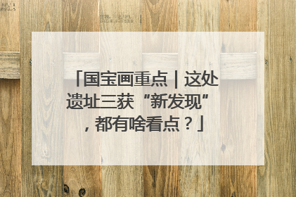 国宝画重点｜这处遗址三获“新发现”，都有啥看点？