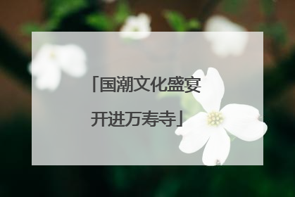 国潮文化盛宴开进万寿寺
