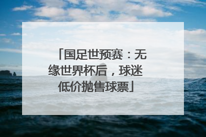 国足世预赛：无缘世界杯后，球迷低价抛售球票