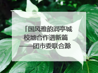 国风雅韵润亭城 校地合作谱新篇——团市委联合滁州城市职业学院助力传统文化“破圈”绽放