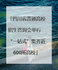 四川省普通高校招生咨询会举行 “一站式”集齐近600所高校