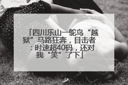 四川乐山一鸵鸟“越狱”马路狂奔，目击者：时速超40码，还对我“笑”了下
