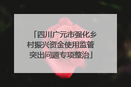 四川广元市强化乡村振兴资金使用监管突出问题专项整治