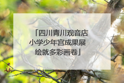 四川青川观音店小学少年宫成果展绘就多彩画卷