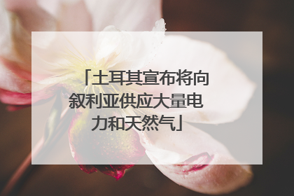 土耳其宣布将向叙利亚供应大量电力和天然气