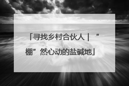 寻找乡村合伙人｜“棚”然心动的盐碱地