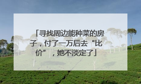 寻找周边能种菜的房子，付了一万后去“比价”，她不淡定了
