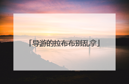 导游的拉布布别乱拿