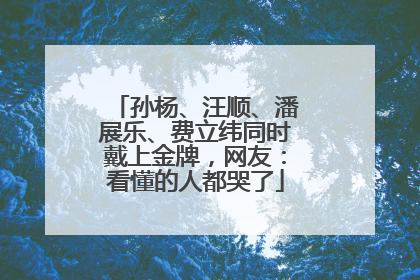 孙杨、汪顺、潘展乐、费立纬同时戴上金牌，网友：看懂的人都哭了