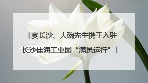 宴长沙、大碗先生携手入驻 长沙佳海工业园“满员运行”