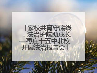 家校共育守底线，法治护航助成长—枣庄十五中北校开展法治报告会