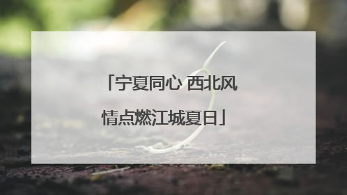 宁夏同心 西北风情点燃江城夏日