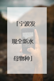 宁波发现全新水母物种