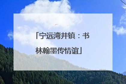 宁远湾井镇：书林翰墨传情谊