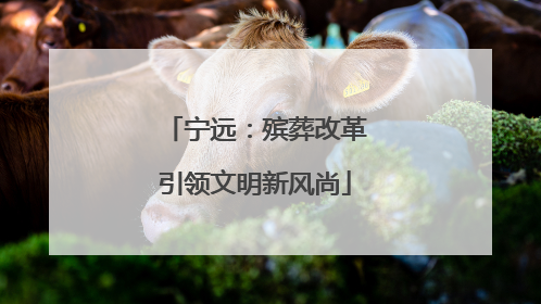 宁远：殡葬改革引领文明新风尚