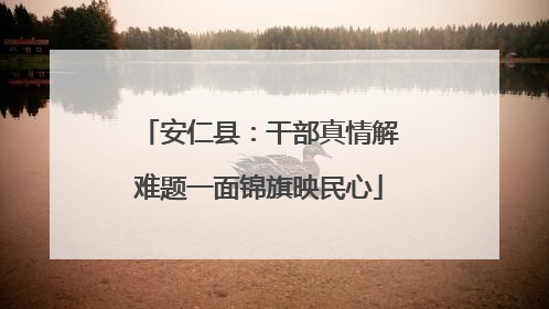 安仁县：干部真情解难题一面锦旗映民心