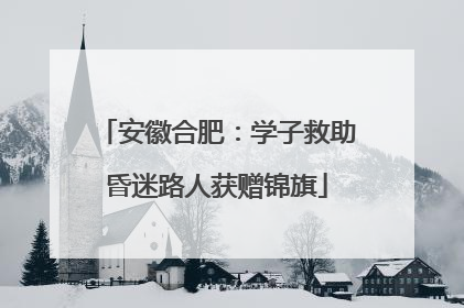 安徽合肥：学子救助昏迷路人获赠锦旗
