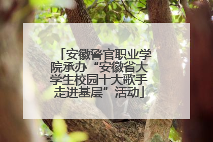 安徽警官职业学院承办“安徽省大学生校园十大歌手走进基层”活动