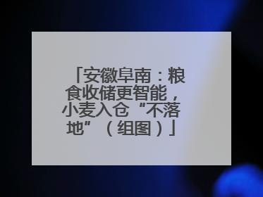 安徽阜南：粮食收储更智能，小麦入仓“不落地”（组图）