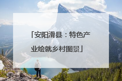 安阳滑县：特色产业绘就乡村图景