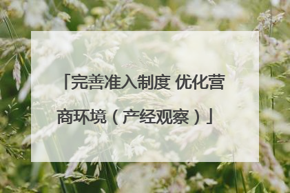 完善准入制度 优化营商环境（产经观察）