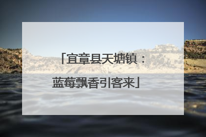 宜章县天塘镇：蓝莓飘香引客来
