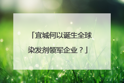 宜城何以诞生全球染发剂领军企业？