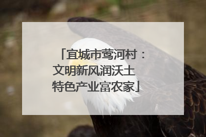 宜城市莺河村：文明新风润沃土 特色产业富农家
