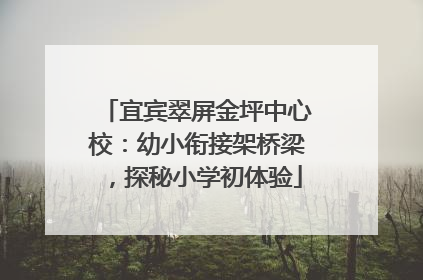 宜宾翠屏金坪中心校：幼小衔接架桥梁，探秘小学初体验