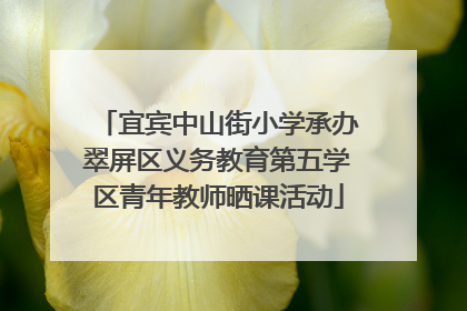 宜宾中山街小学承办翠屏区义务教育第五学区青年教师晒课活动